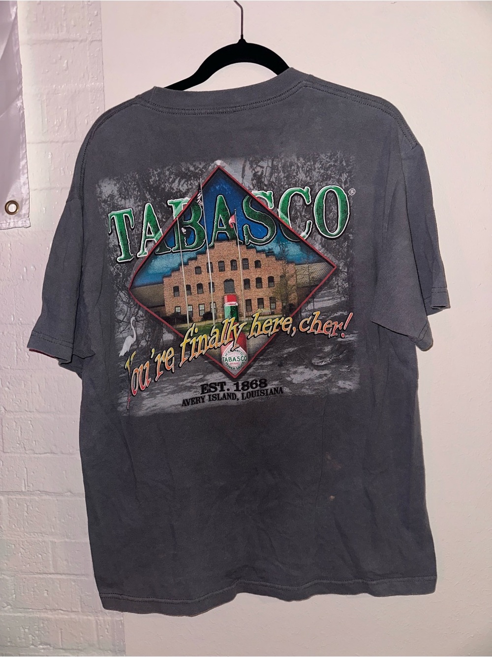 Tabasco Short-Sleeve Graphic Tee in Gray with Green Logo